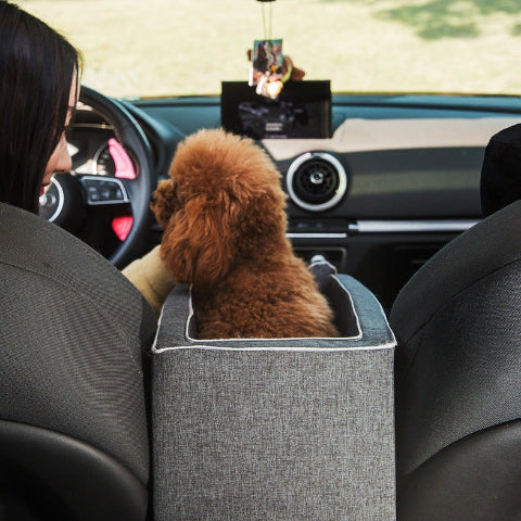 Transportkurv til Hund – Komfort og Stabilitet i Bil