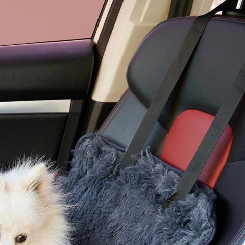 Bilstol för Hund – Bekväm och Praktisk