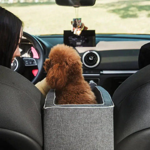 Reismand Voor Honden Auto – Perfect Voor Kleine Gezellen 