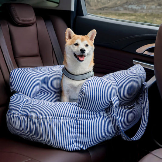 Hundbilstol – Optimal komfort vid transport 