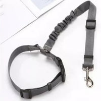 Correa de Seguridad Ajustable para Perro – Especial Coche 