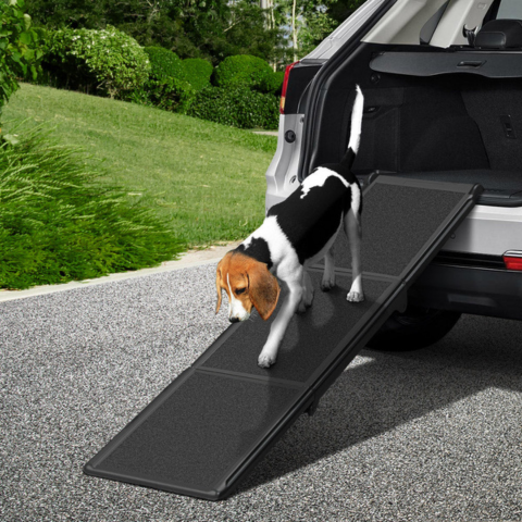Fällbar Ramp För Hund — Lätt Tillgång Till Bilen 