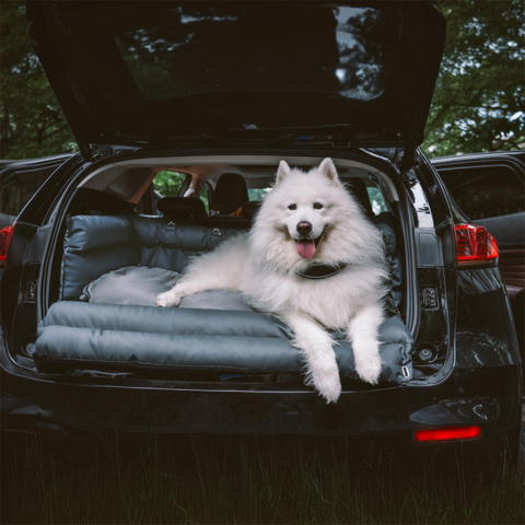 Cuscino Auto Per Cane – Supporto E Comfort Durante Il Viaggio 