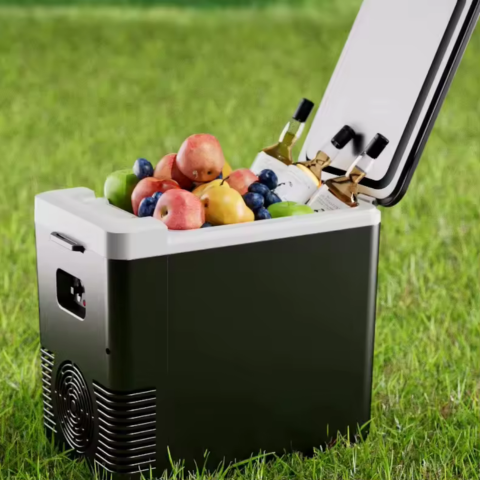 Mini Réfrigérateur & Chauffe-Repas De Voiture — 2 En 1 Pratique