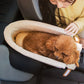 Transportkurv til Hund – Komfort og Stabilitet i Bil 